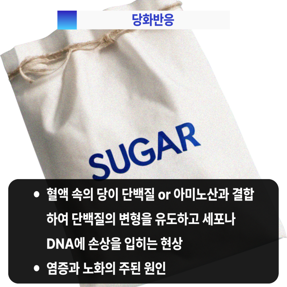 제목을-입력해주세요_-004_(1).png